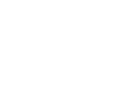 Data Virtuality